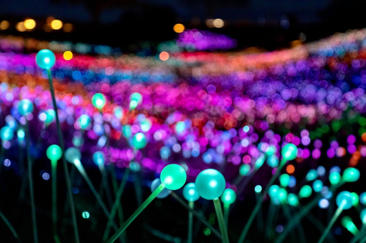 Field of Light, Paso Robles, California, US
