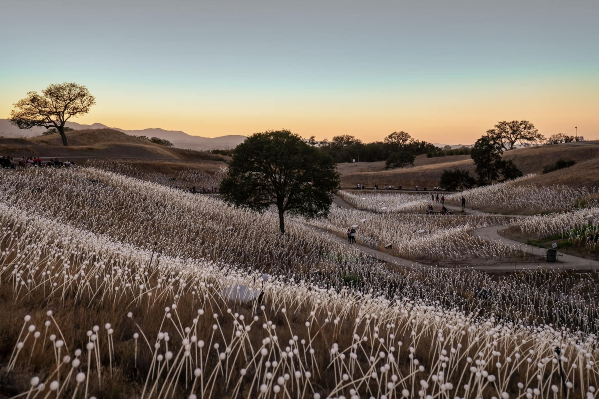 Field of Light, Paso Robles, California, US